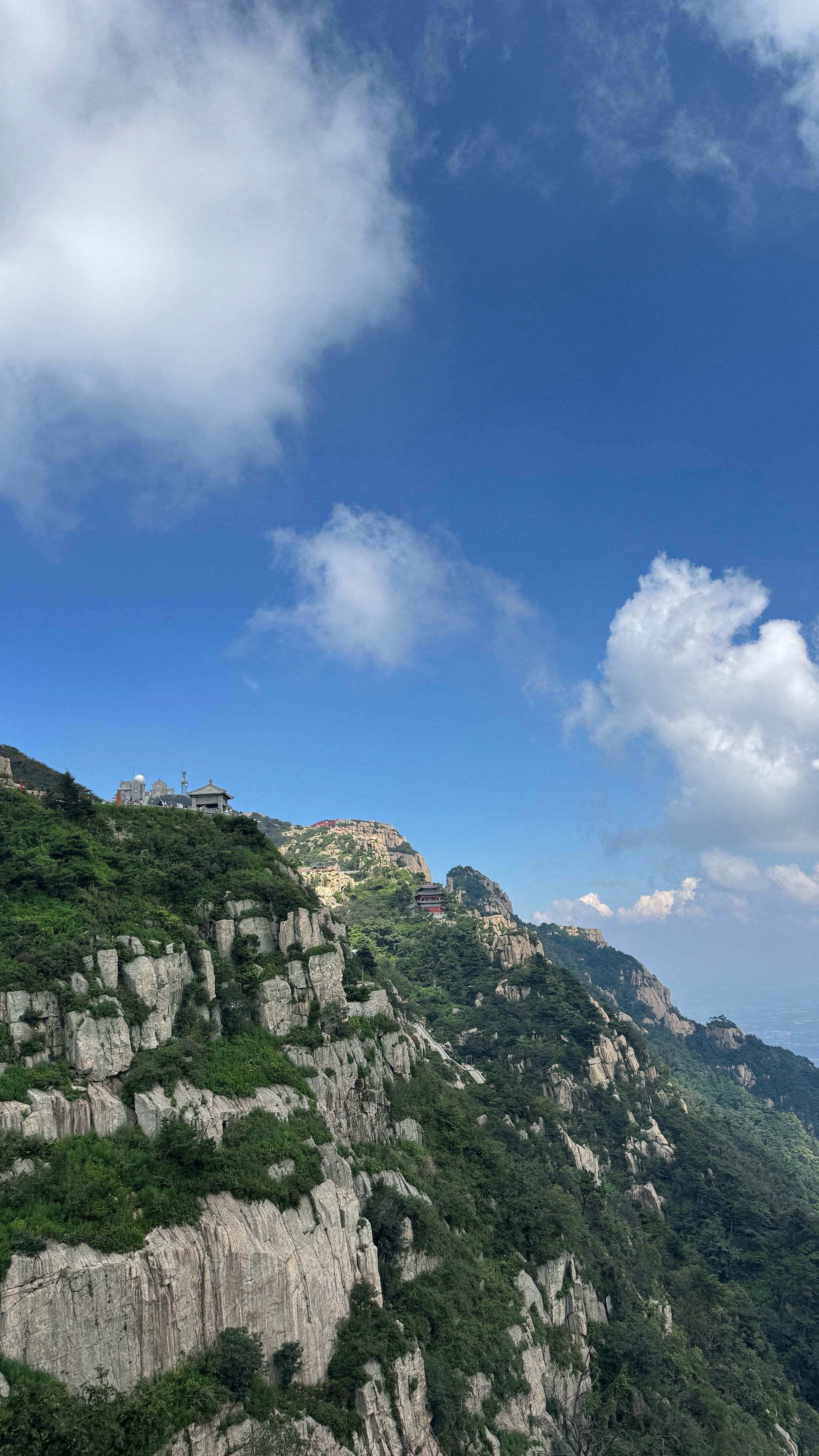 星空平台 -关于清晨体能课后，山东泰山手感冰凉备战社区盾，震撼外界，团队化学反应显著的信息